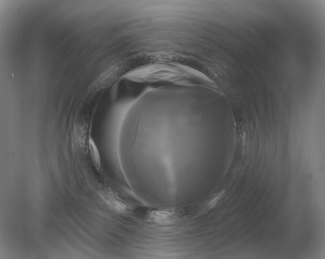 X0000079330139200612011918