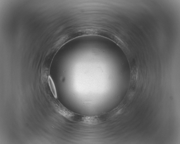 X0000079330141200612011917