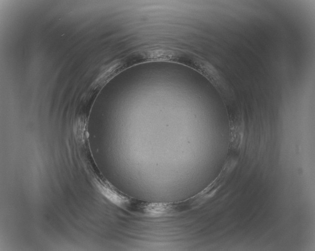 X0000079330142200612011917