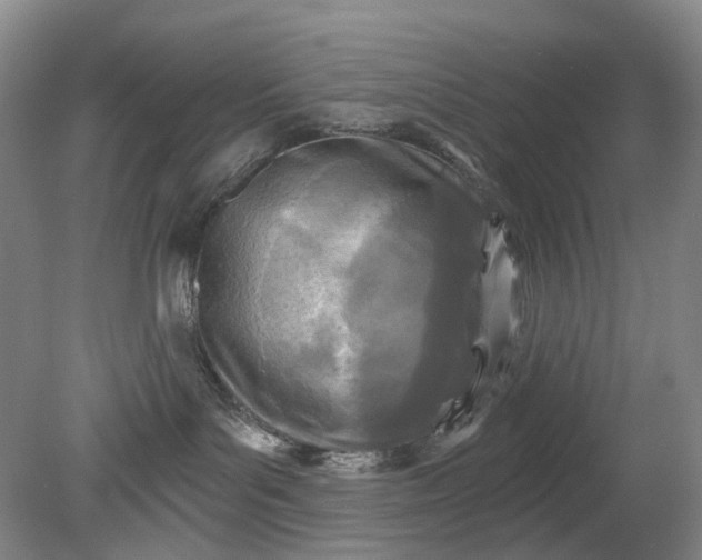 X0000079330143200612011917