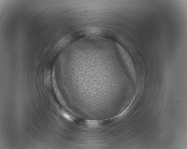 X0000079330144200612011917