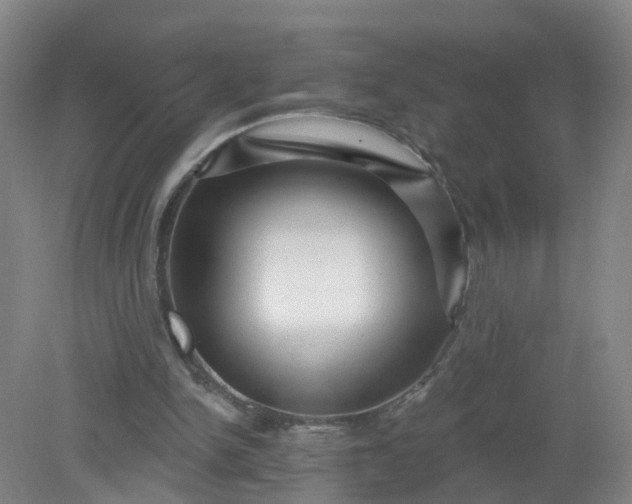 X0000079330150200612011917
