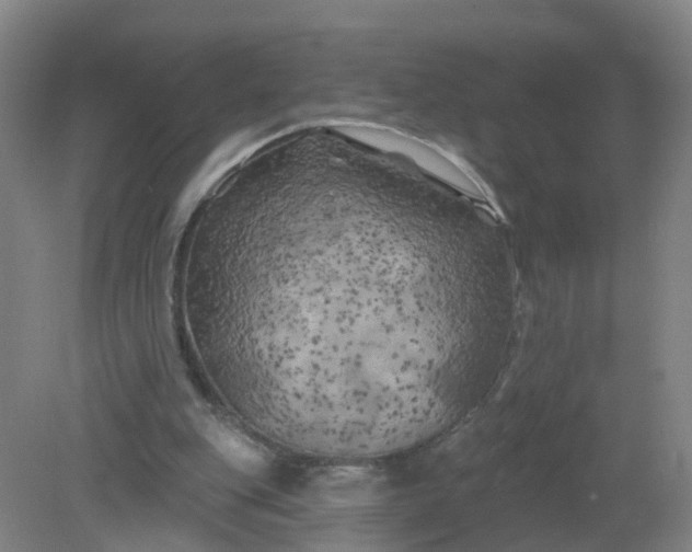 X0000079330151200612011917