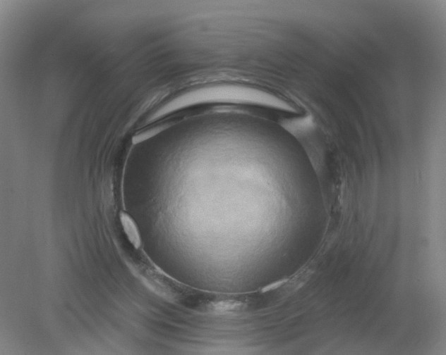 X0000079330158200612011917