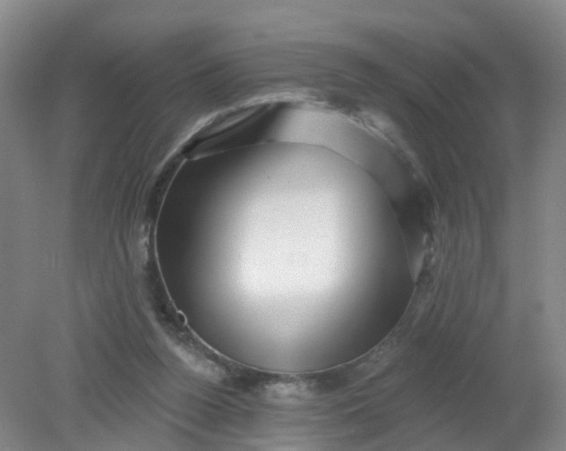 X0000079330160200612011917