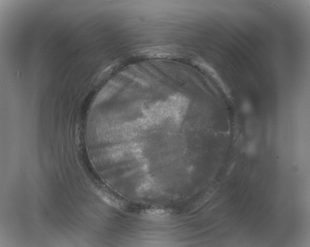 X0000079330161200612011917