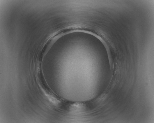 X0000079330164200612011917