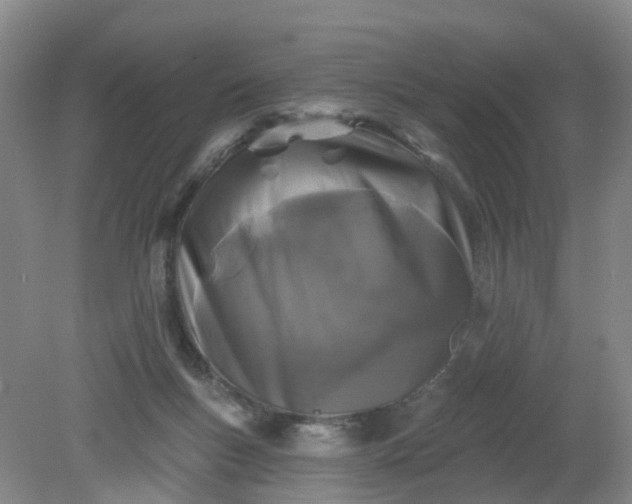 X0000079330167200612011917