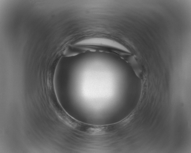 X0000079330170200612011917