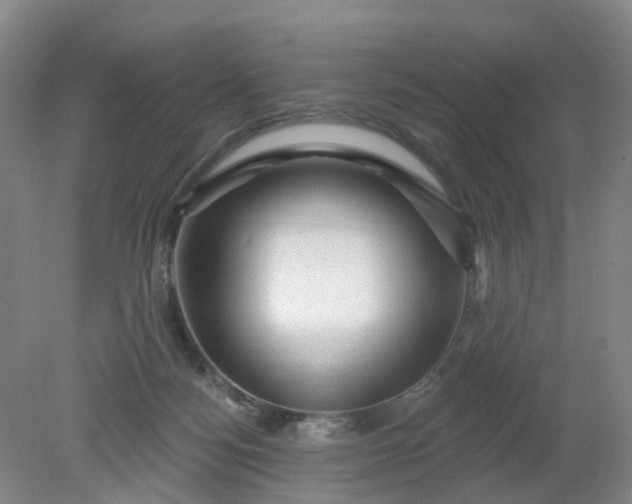 X0000079330172200612011917