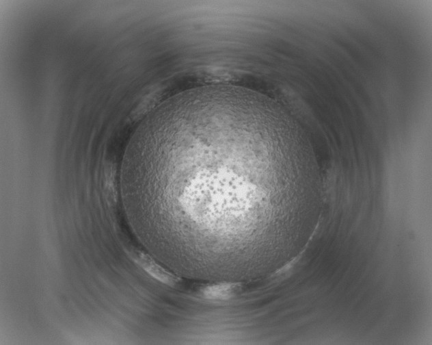 X0000079330178200612011917