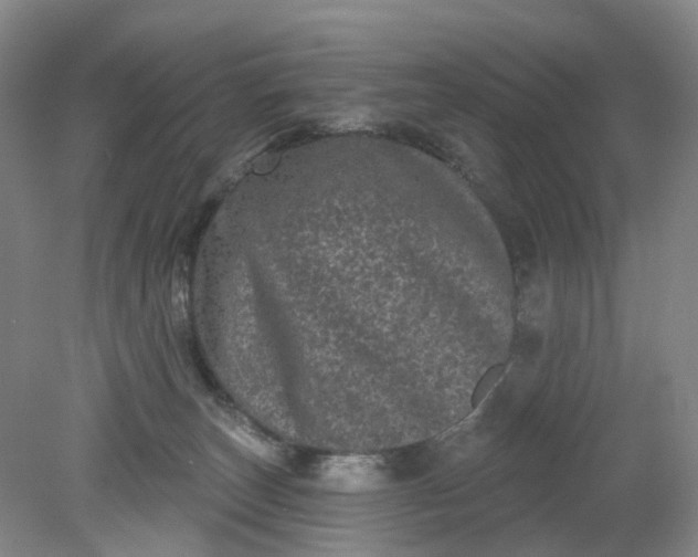 X0000079330179200612011917