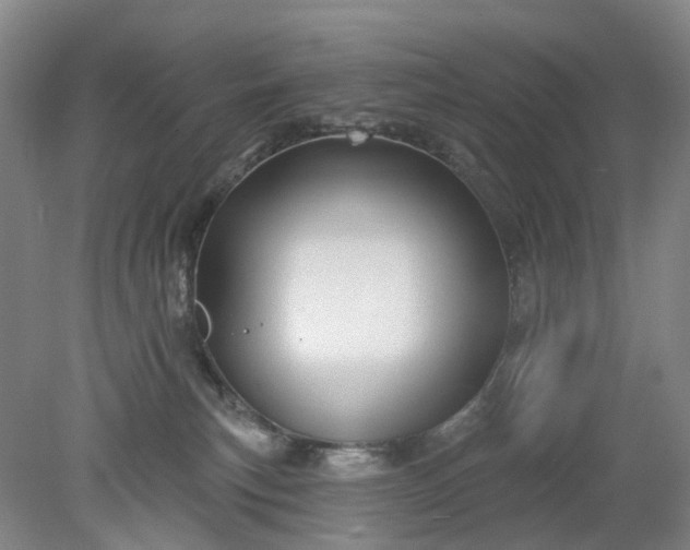 X0000079330183200612011917