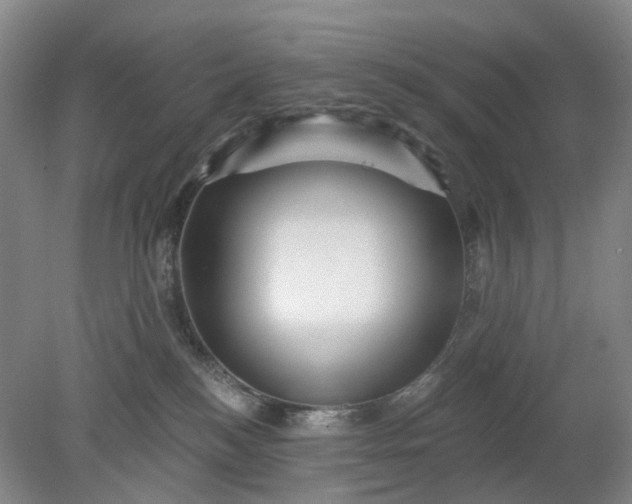 X0000079330184200612011917
