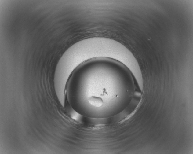 X0000079330186200612011917