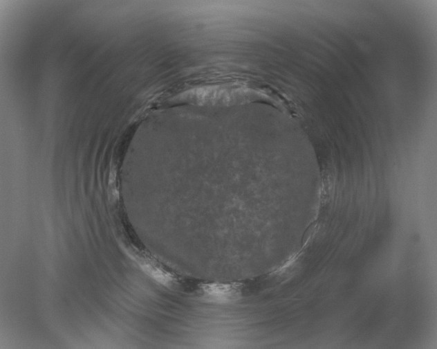X0000079330187200612011917