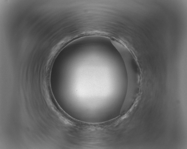 X0000079330193200612011917