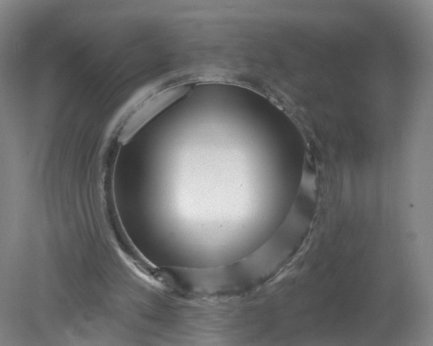 X0000079330197200612011917