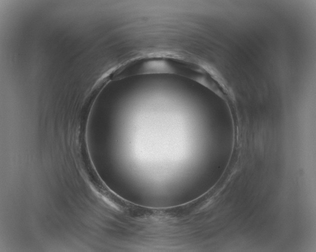 X0000079330201200612011916