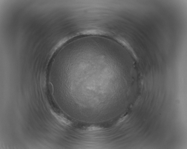 X0000079330204200612011916