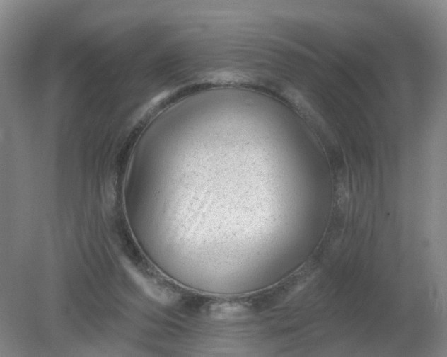 X0000079330208200612011916