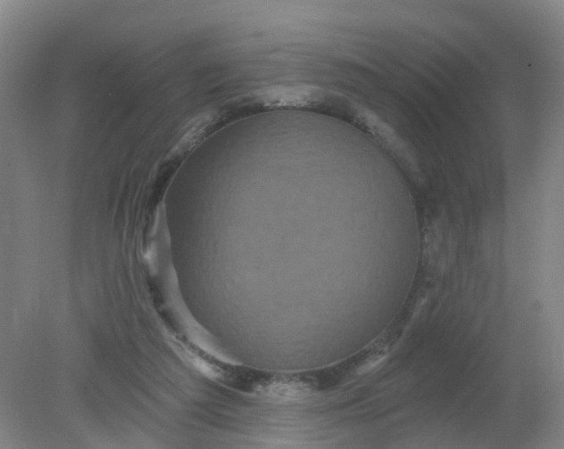 X0000079330209200612011916