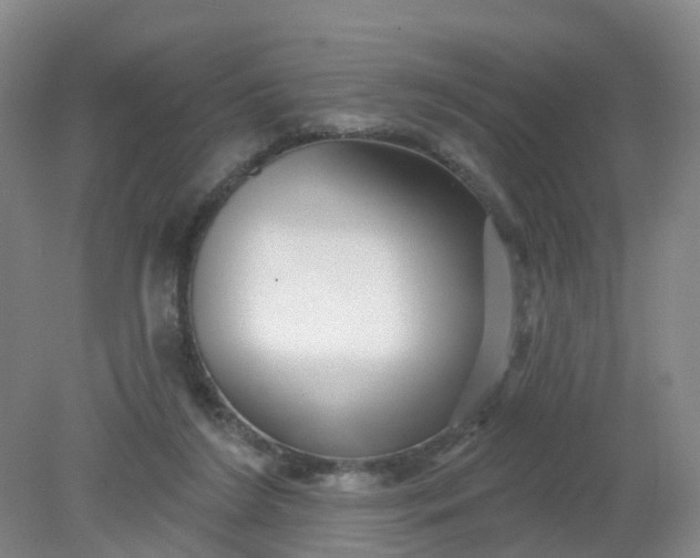 X0000079330212200612011916