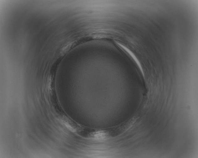X0000079330219200612011916