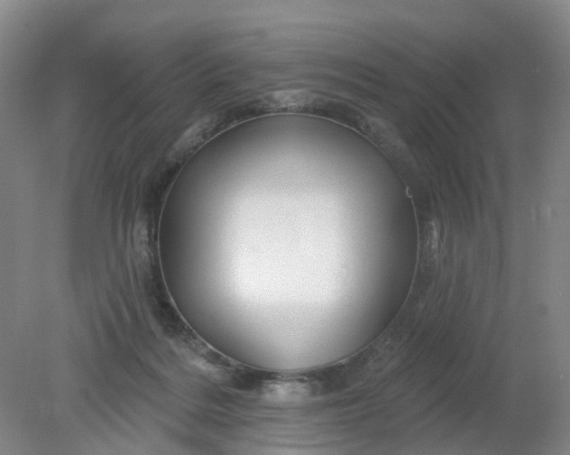 X0000079330220200612011916