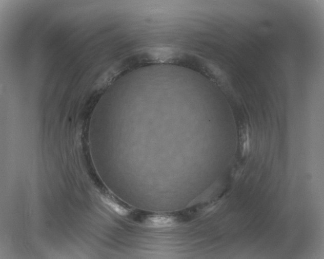 X0000079330221200612011916