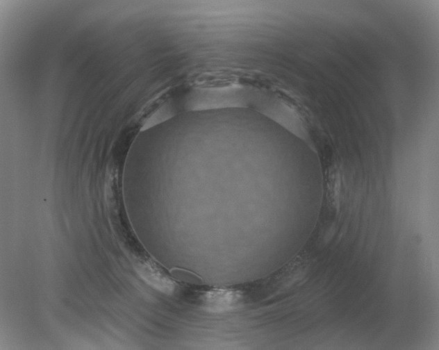 X0000079330225200612011916