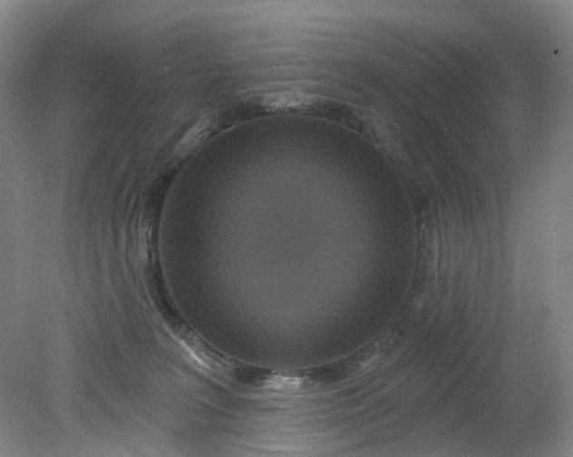 X0000079330227200612011916