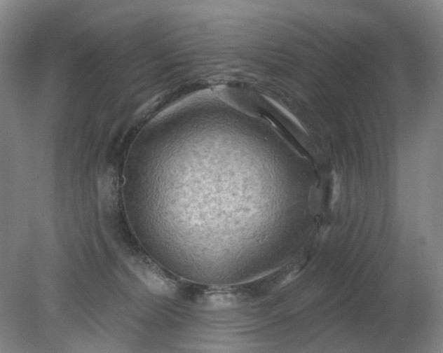 X0000079330228200612011916
