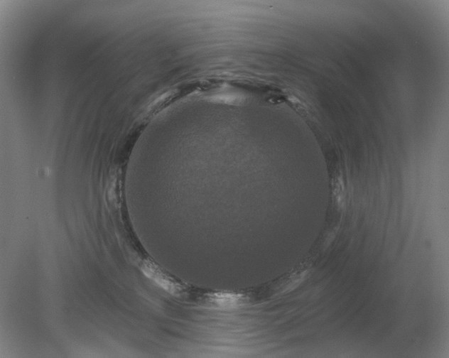 X0000079330233200612011916