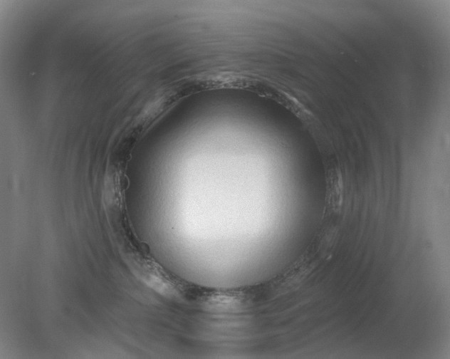 X0000079330236200612011916