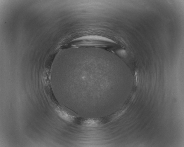 X0000079330237200612011916
