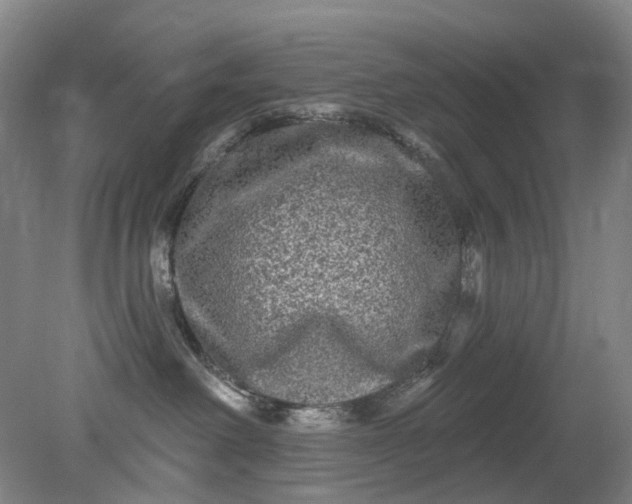 X0000079330238200612011916