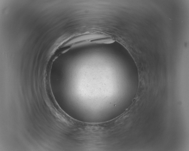 X0000079330242200612011915