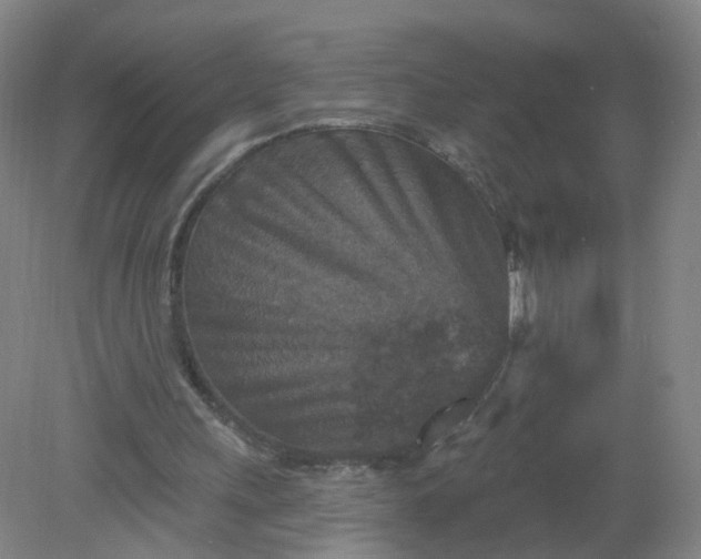 X0000079330243200612011915
