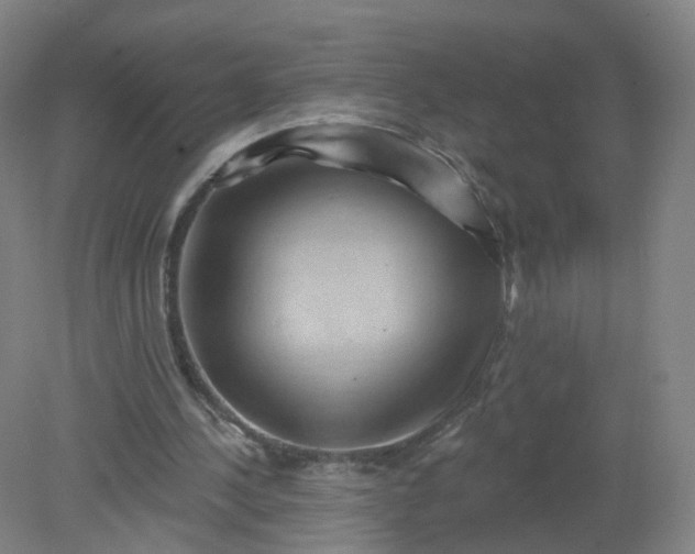 X0000079330244200612011915