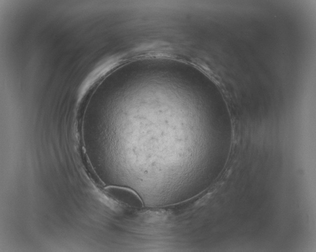 X0000079330245200612011915