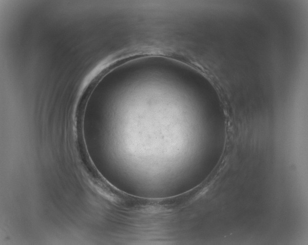 X0000079330246200612011915
