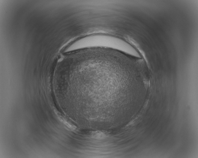 X0000079330249200612011915
