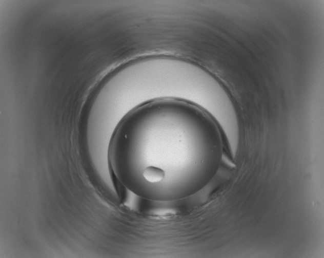 X0000079330252200612011915