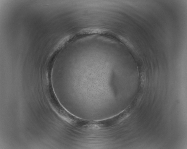 X0000079330254200612011915