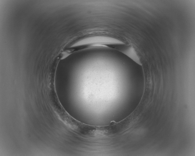 X0000079330255200612011915