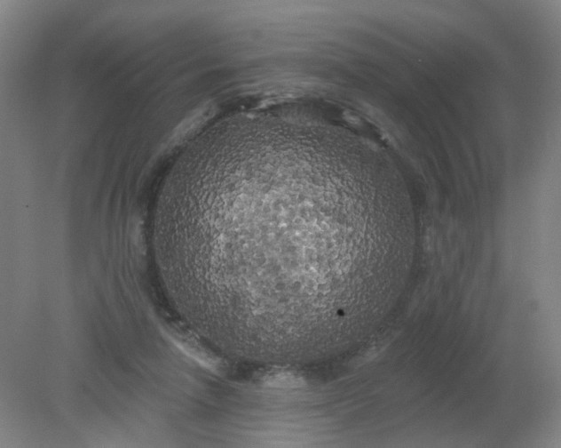 X0000079330258200612011915