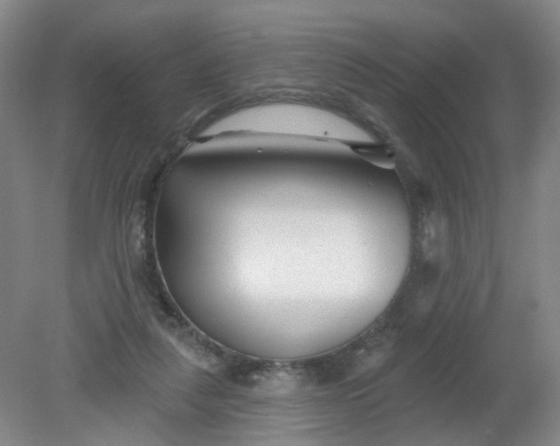 X0000079330259200612011915