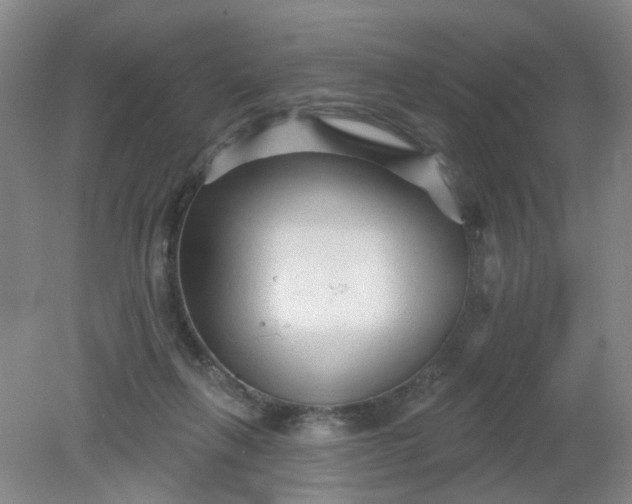 X0000079330263200612011915