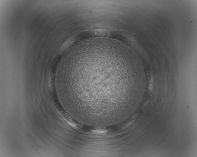 X0000079330266200612011915